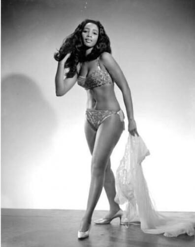 Famous Burlesque Dancers