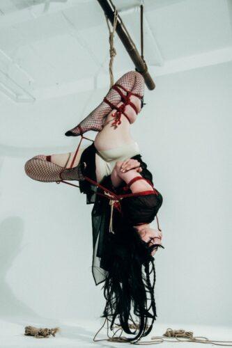 pexels midory pho 13786261